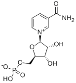 β-Nicotinamide Mononucleotide/NMN