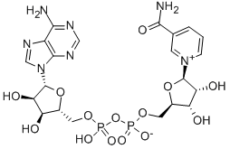 beta-Diphosphopyridine nucleotide/NAD