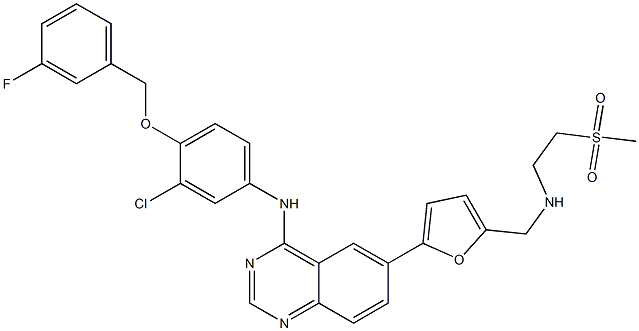 Lapatinib