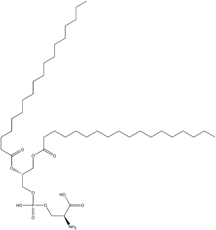 Phosphatidyl serine