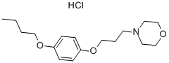 Pramoxine HCl 