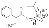 pratropium Bromide